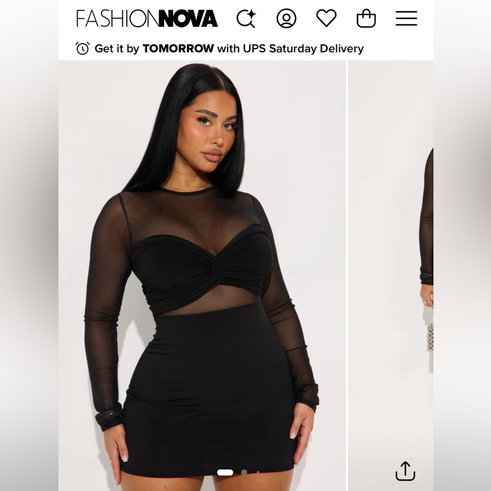 Fashion nova All I Need Sheer Mesh Mini Dress - Black M